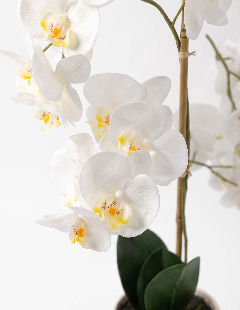 Preelaborado de orquídea 3