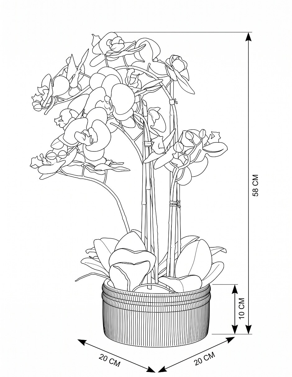 Preelaborado de orquídea 5