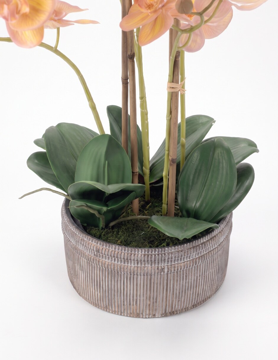 Preelaborado de orquídea 3