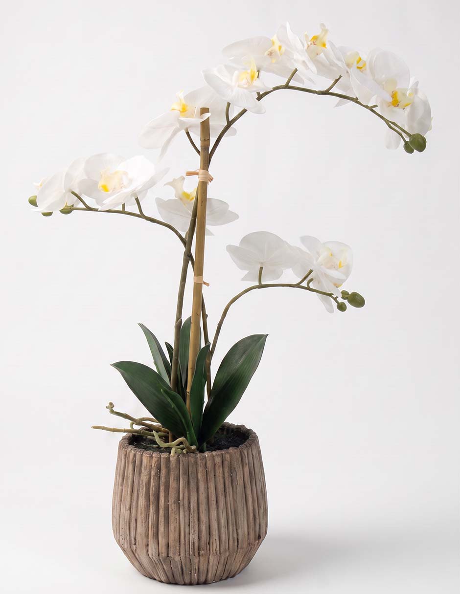 Preelaborado de orquídea 2