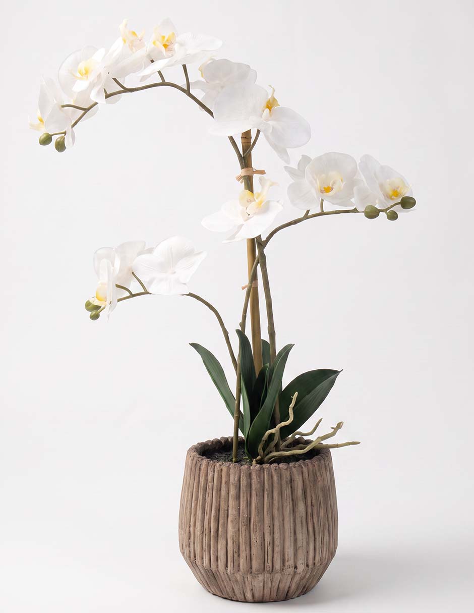 Preelaborado de orquídea 3