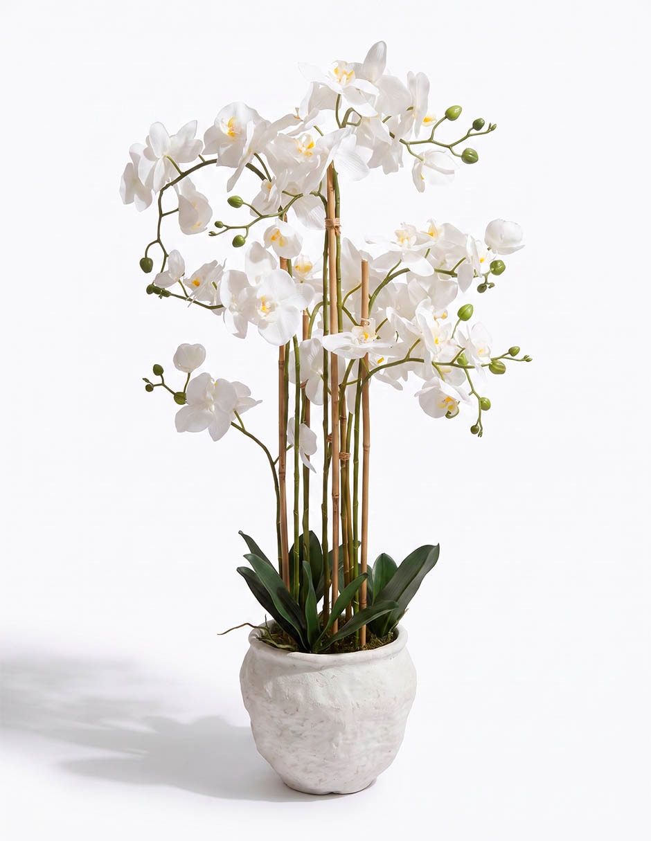 Preelaborado de orquídea 3
