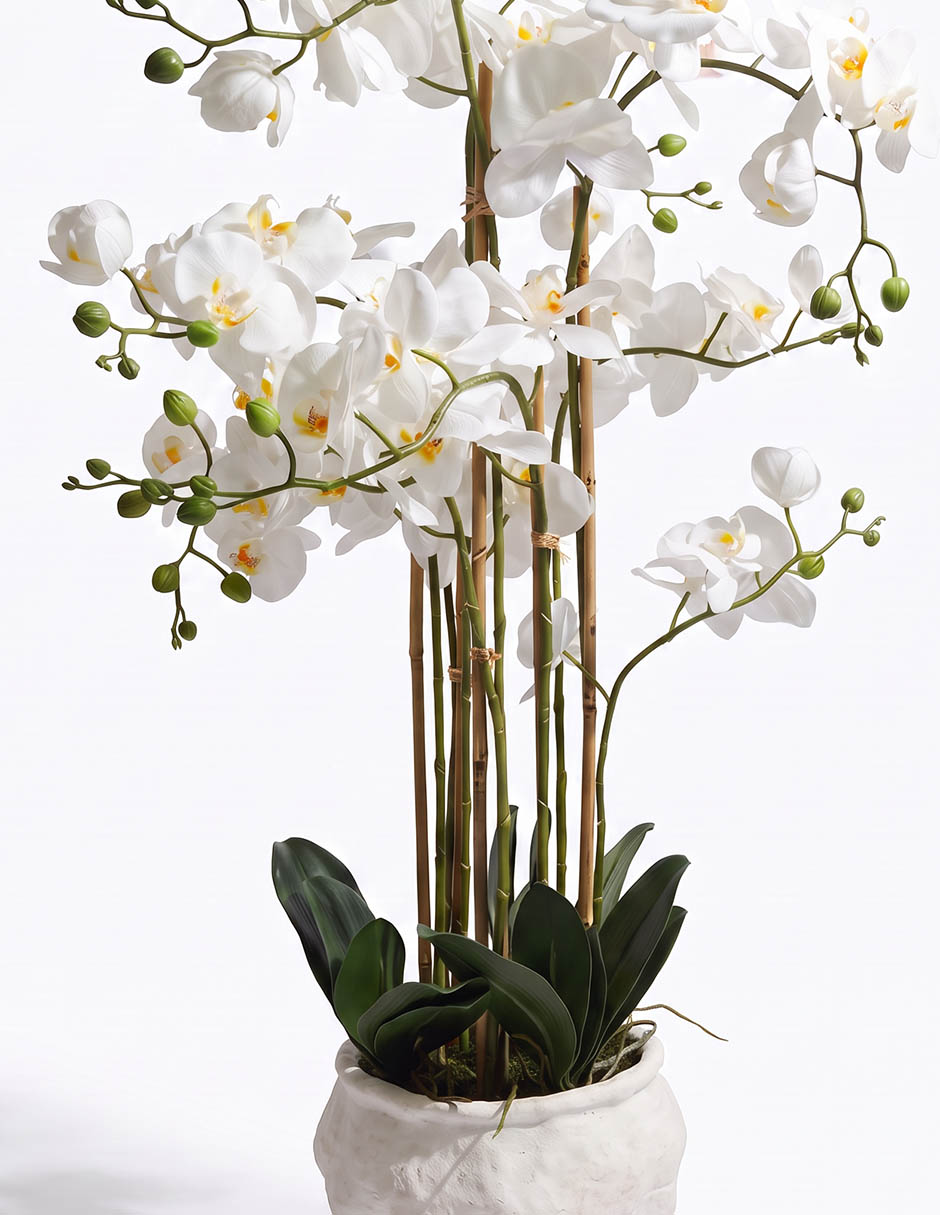 Preelaborado de orquídea 2