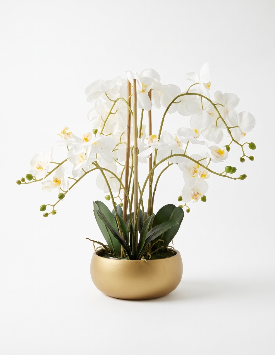 Preelaborado de orquídea