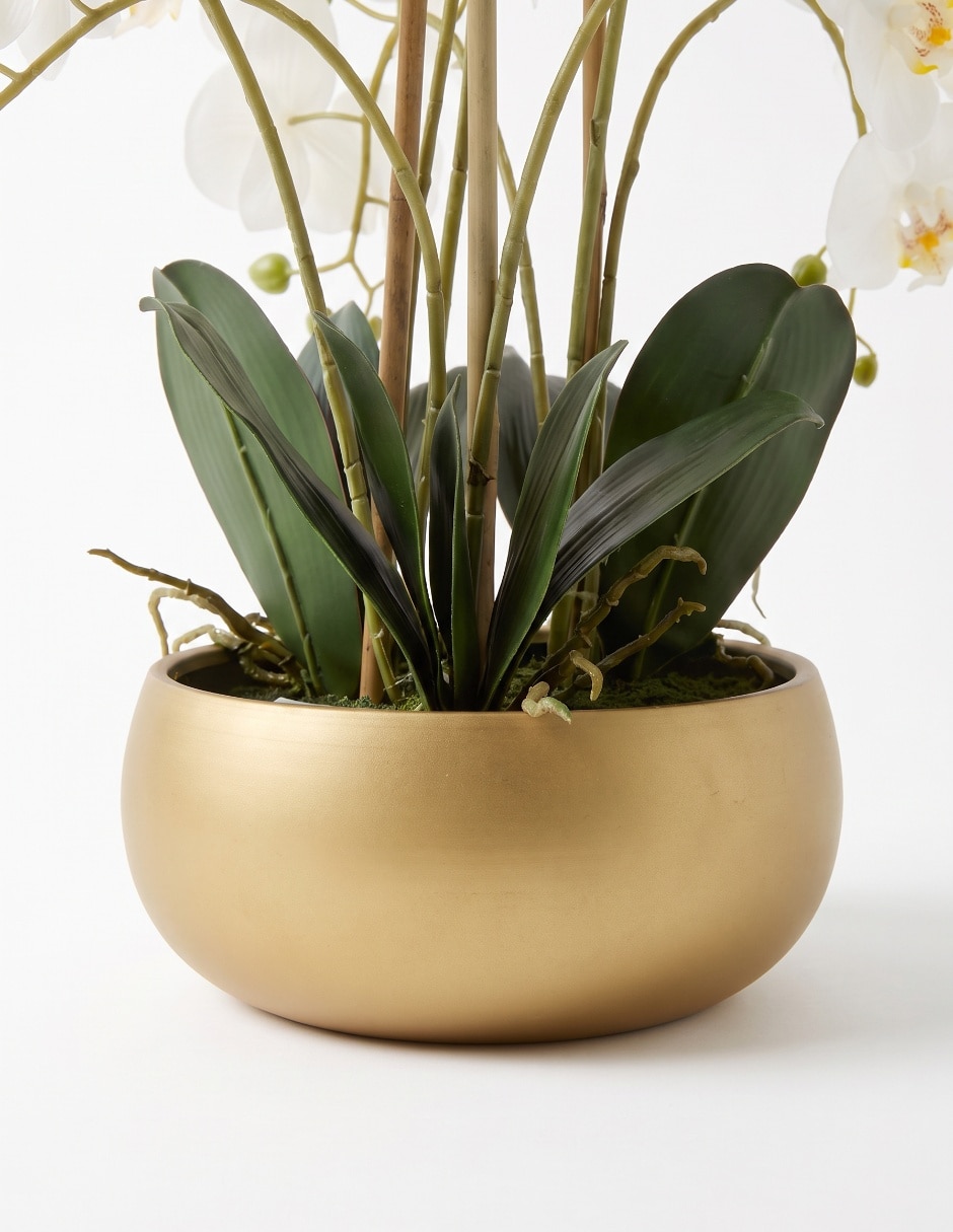 Preelaborado de orquídea 2