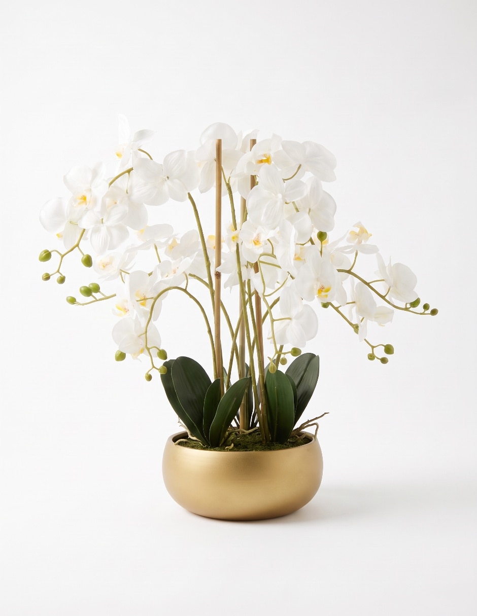 Preelaborado de orquídea 4