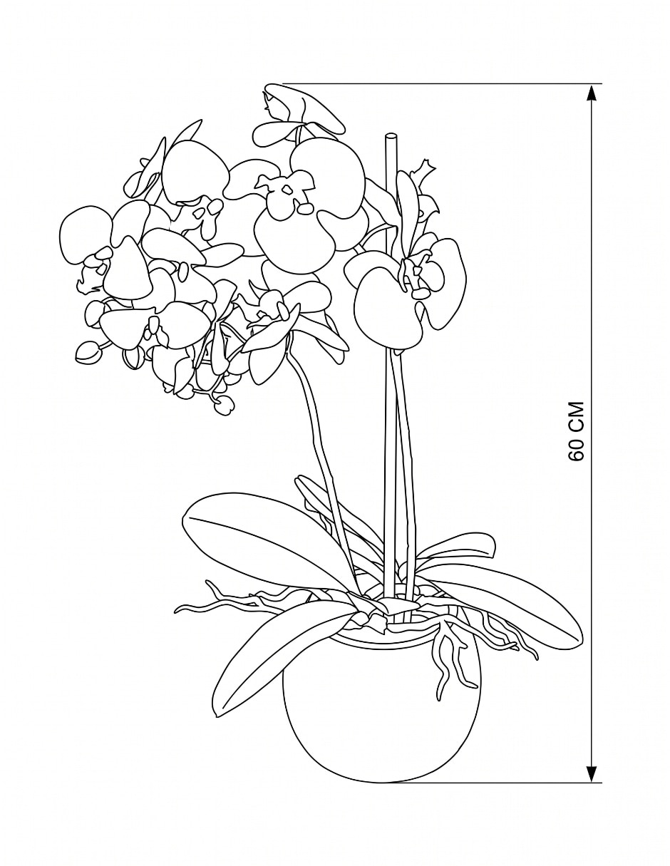 Preelaborado de orquídea 5