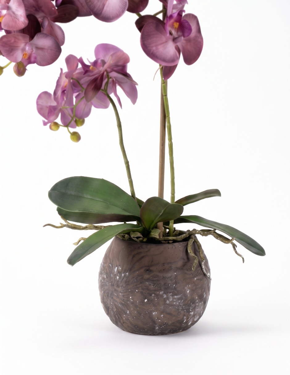 Preelaborado de orquídea 3