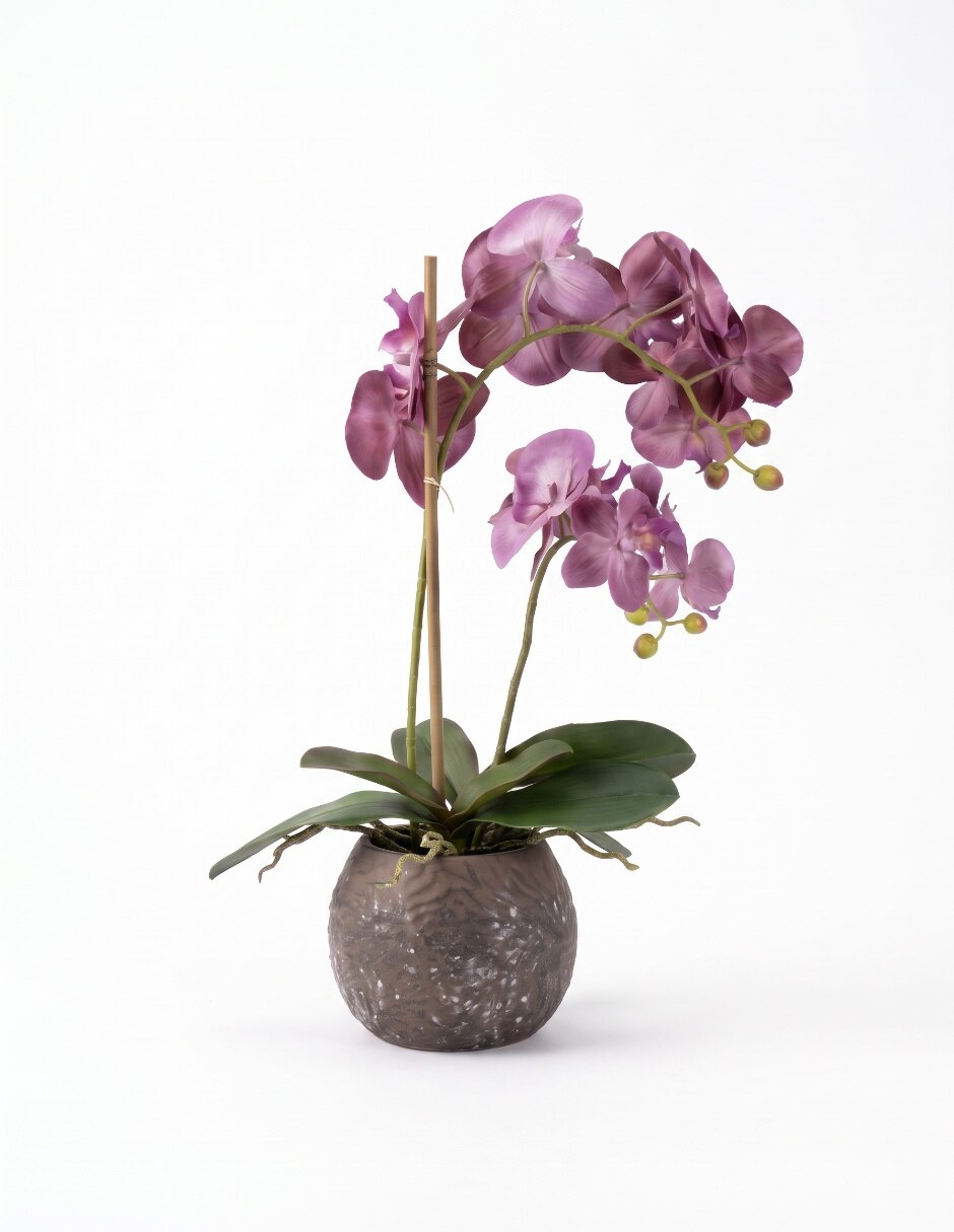 Preelaborado de orquídea 4