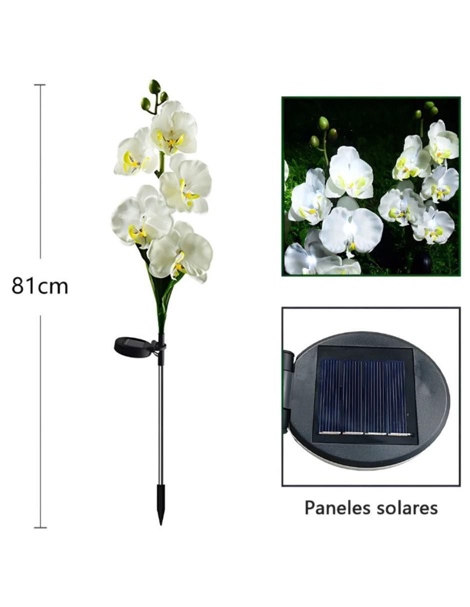 Lámpara LED Flor Solar Con Luces Para Jardin 6