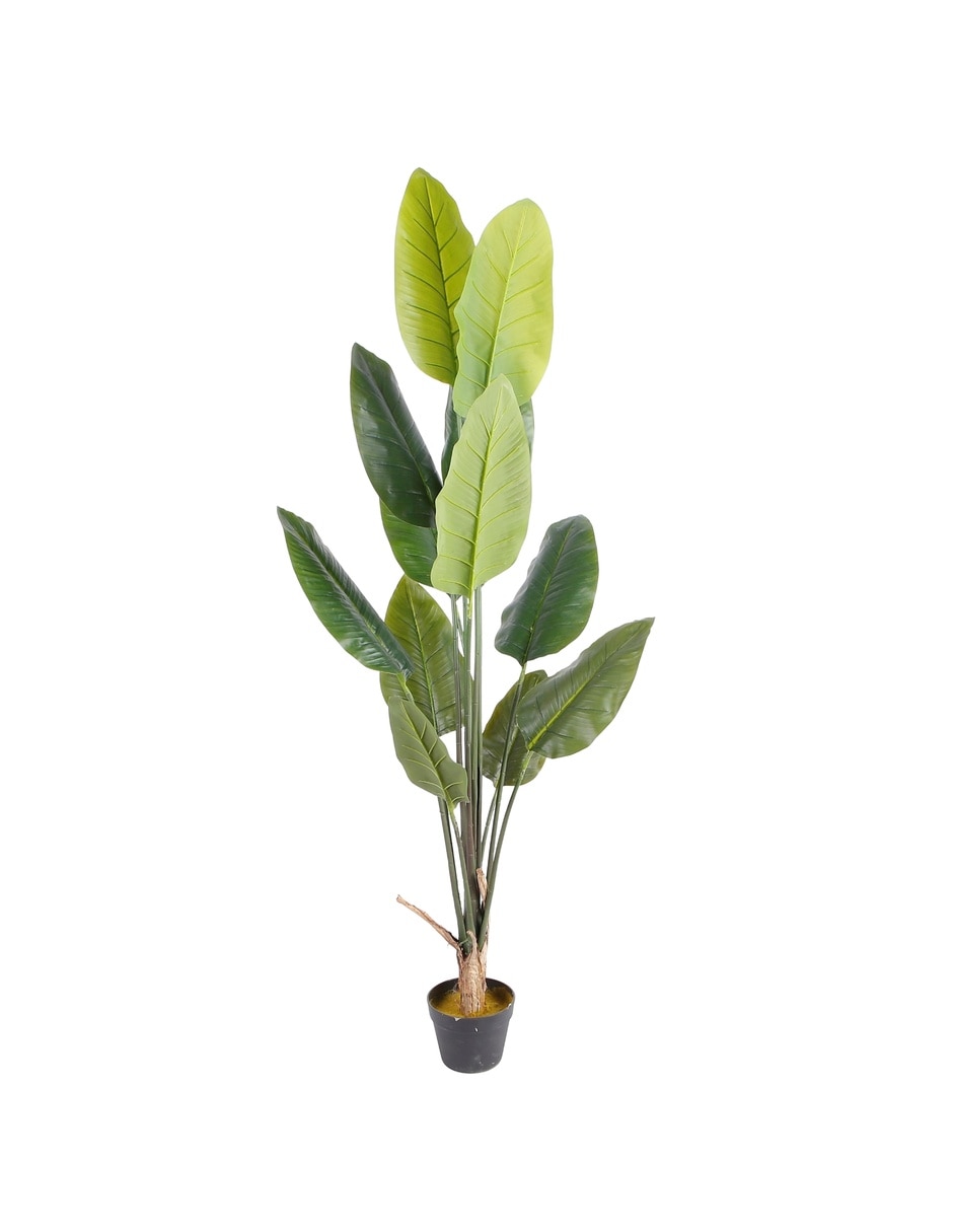 Planta artificial ave paraíso natural Planta artificial ave paraíso natural