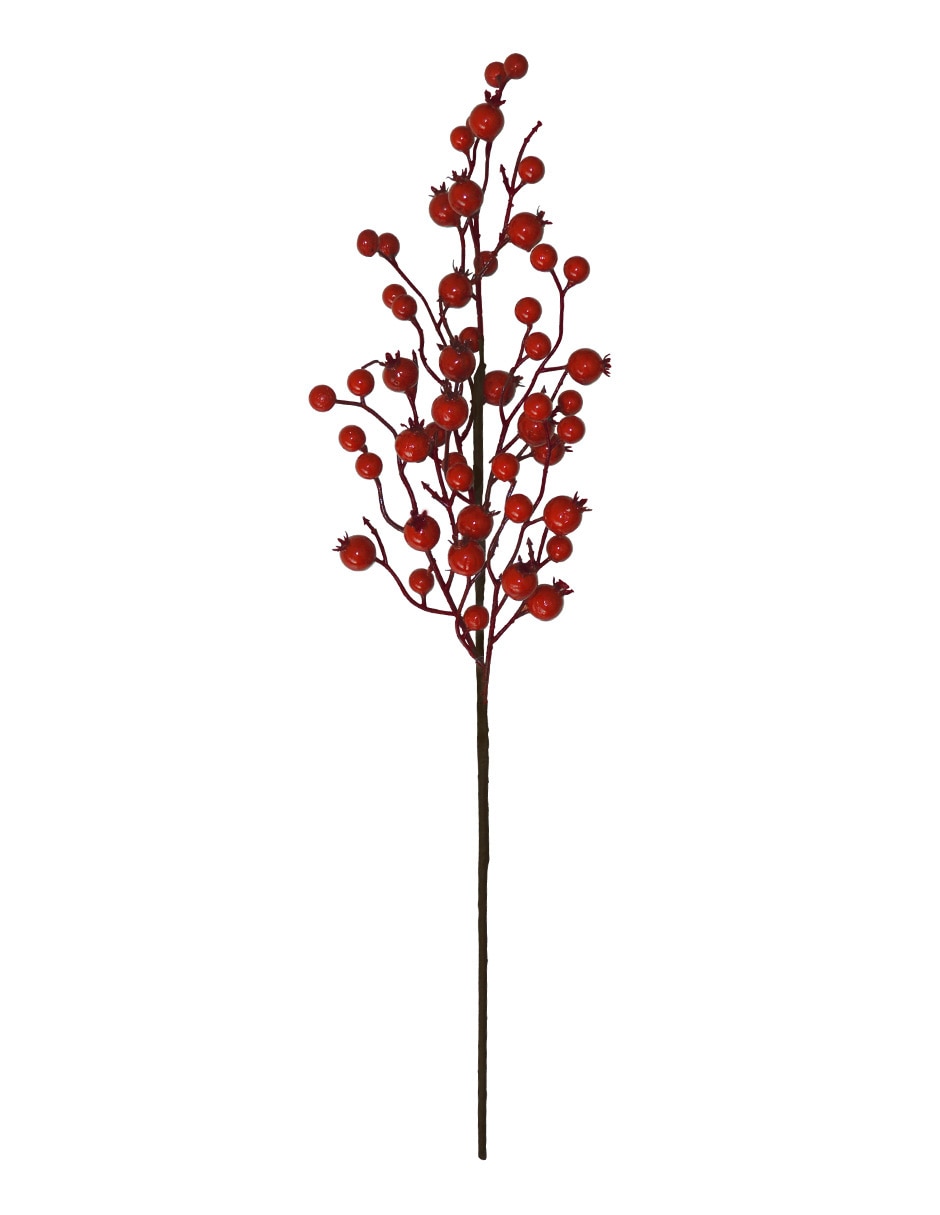 Berries decorativa