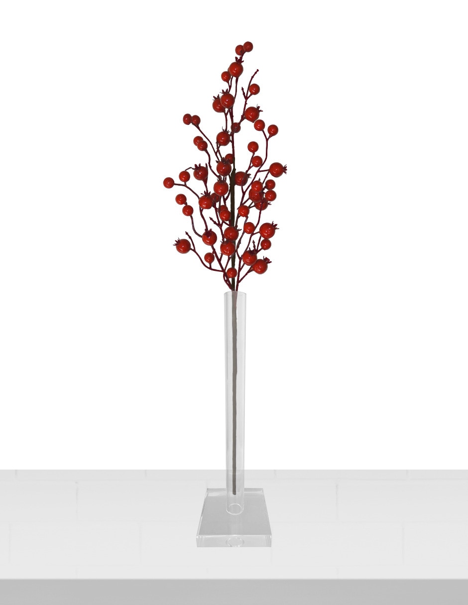 Berries decorativa 2