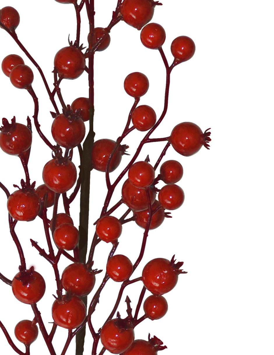 Berries decorativa 3