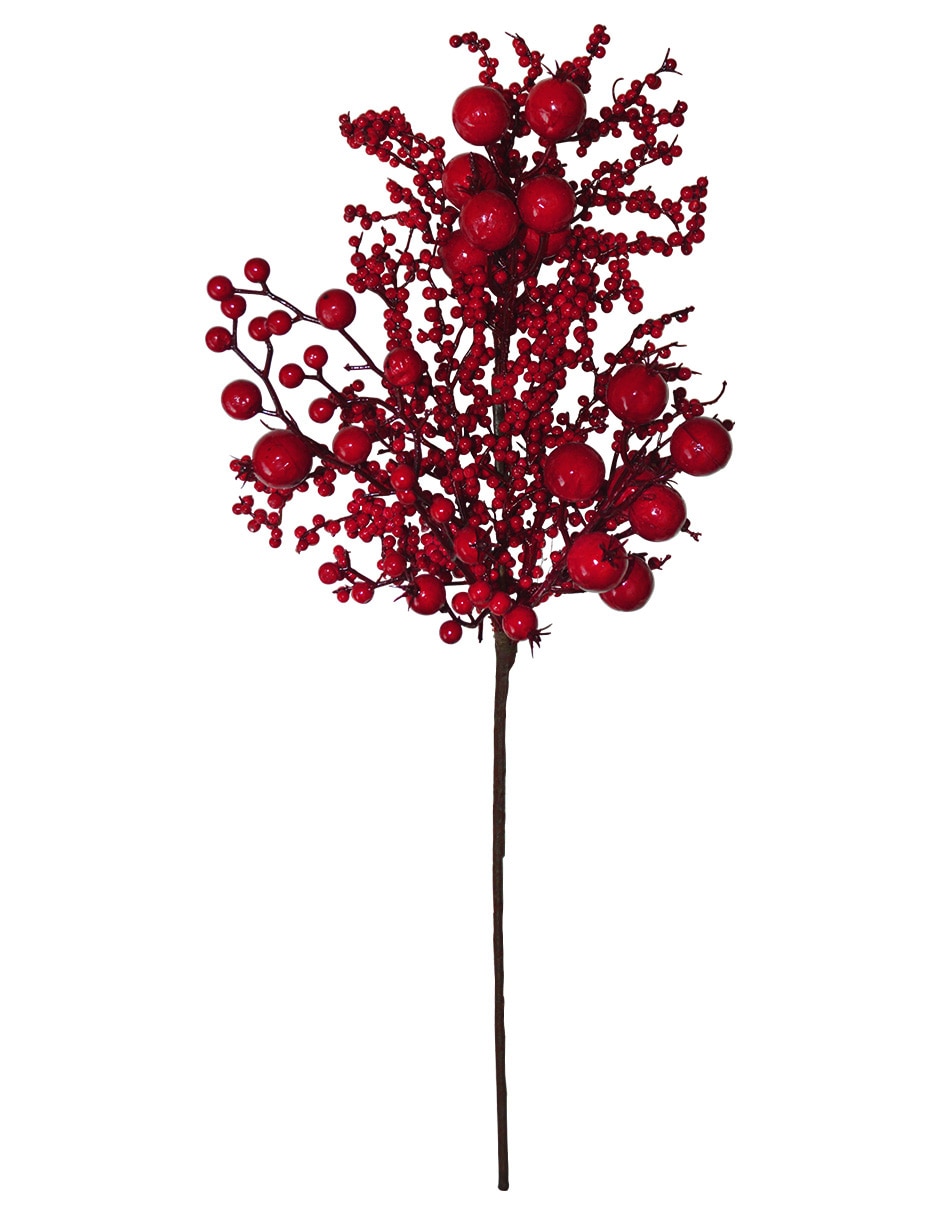 Berries decorativa Berries decorativa