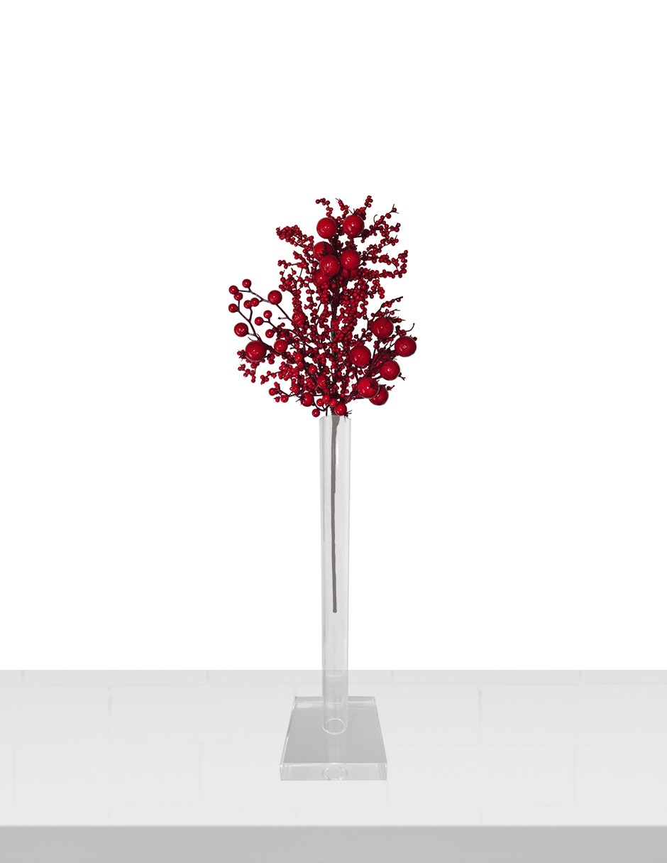 Berries decorativa