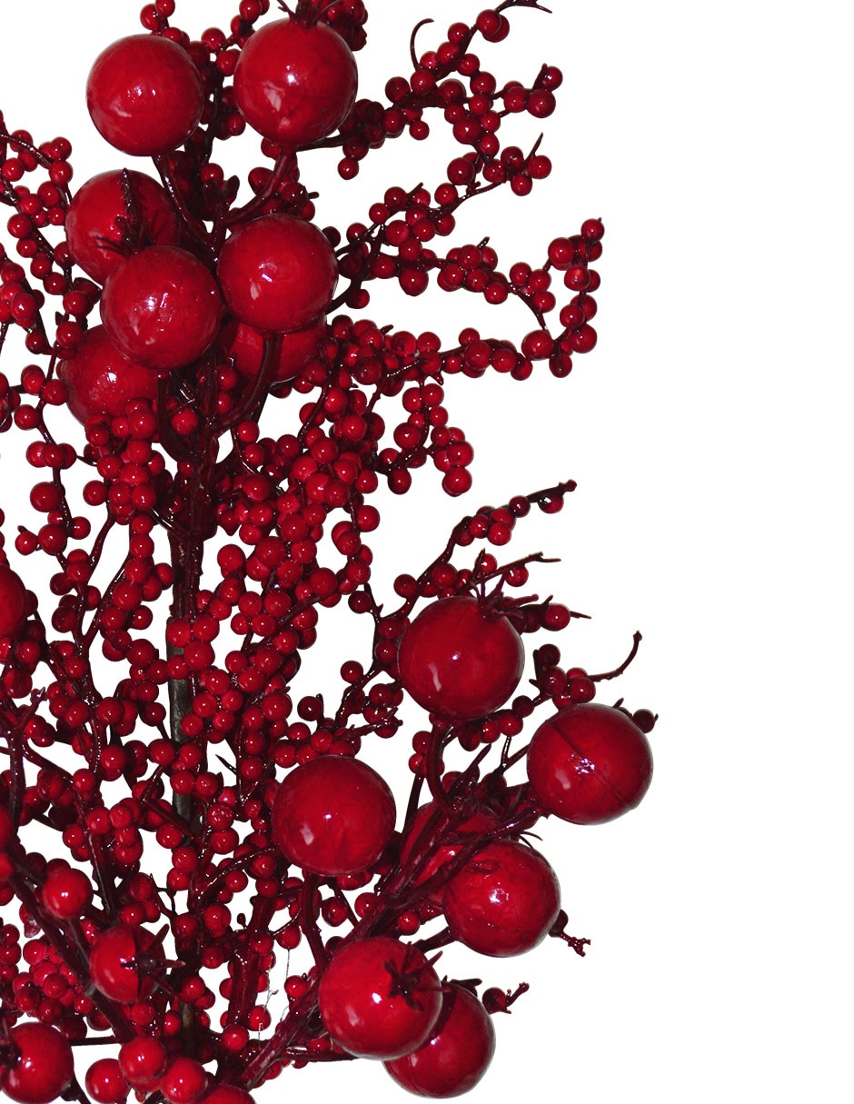 Berries decorativa