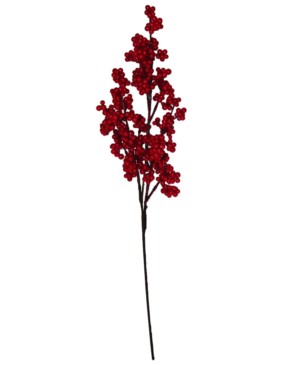 Berries decorativa Berries decorativa