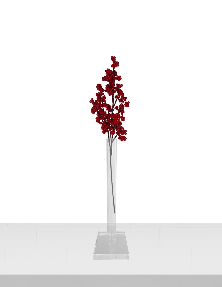 Berries decorativa 2