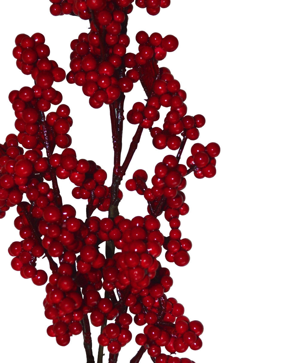 Berries decorativa 3