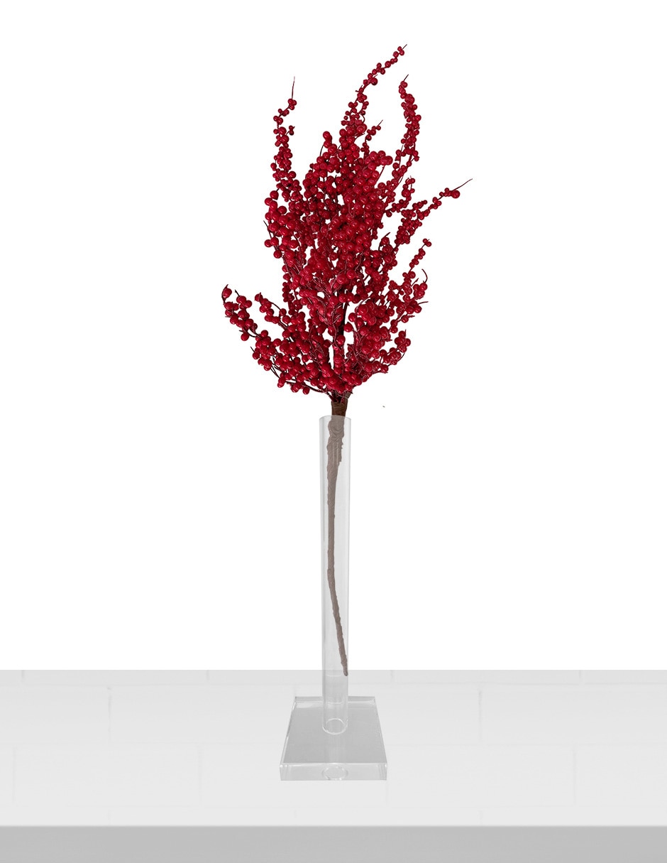 Berries decorativa