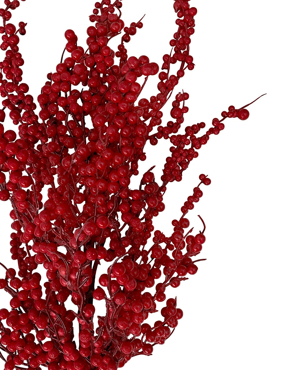 Berries decorativa