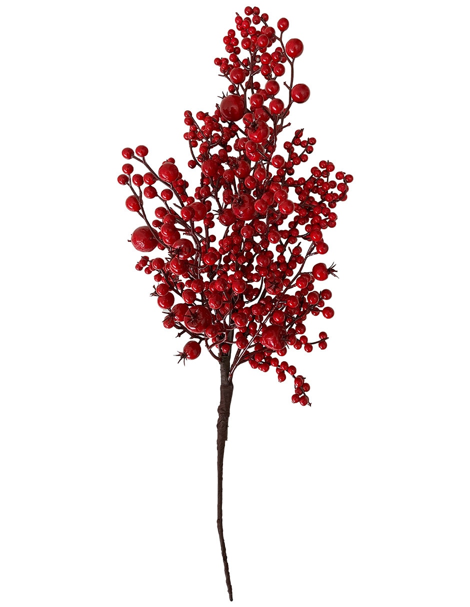 Berries decorativa