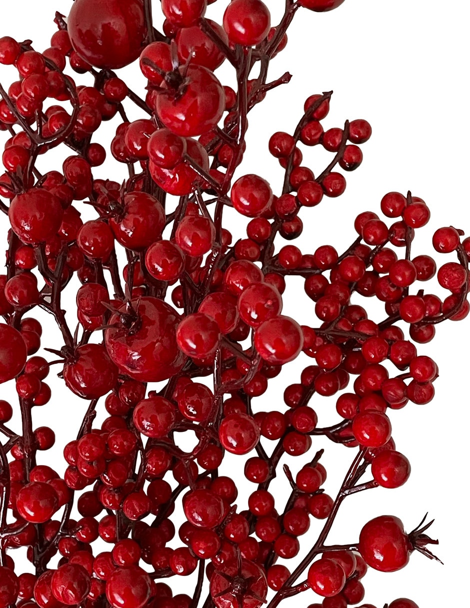 Berries decorativa 2