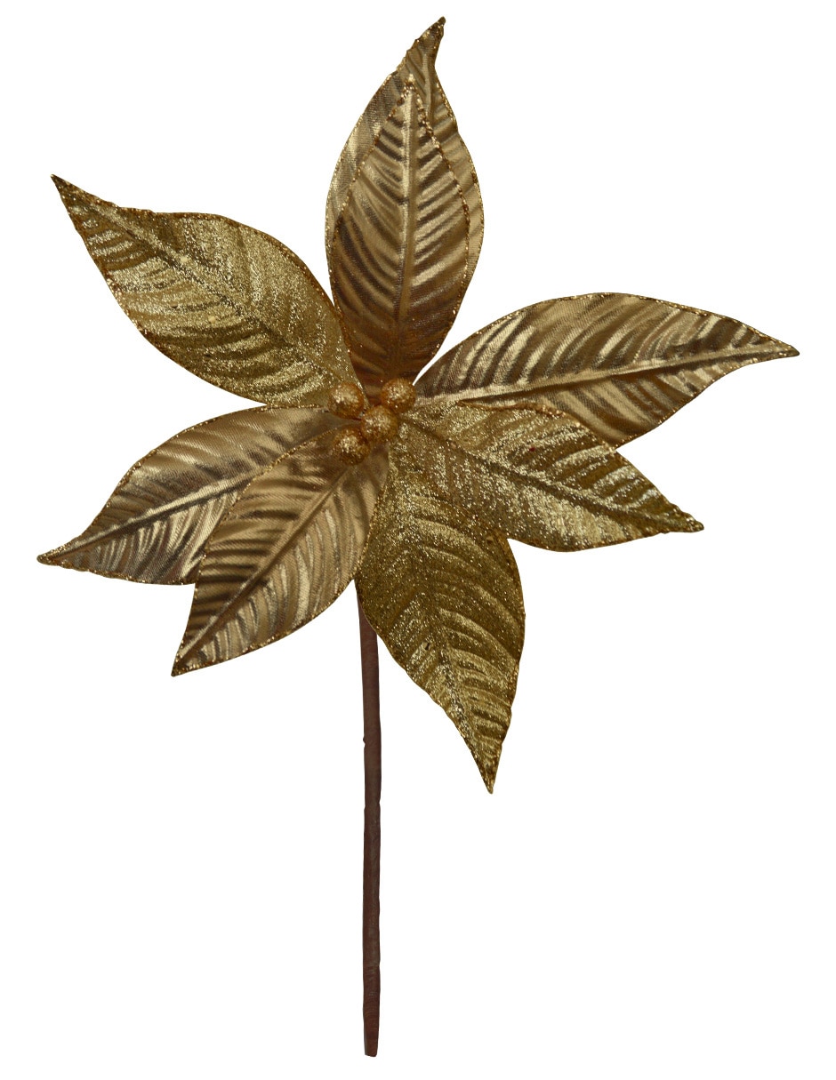 Flor de Nochebuena