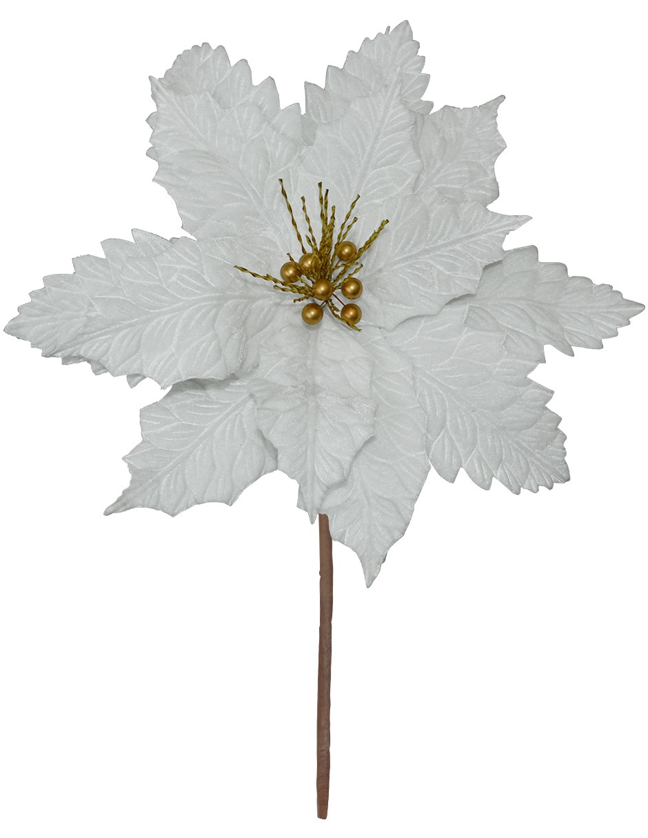 Blanco 2