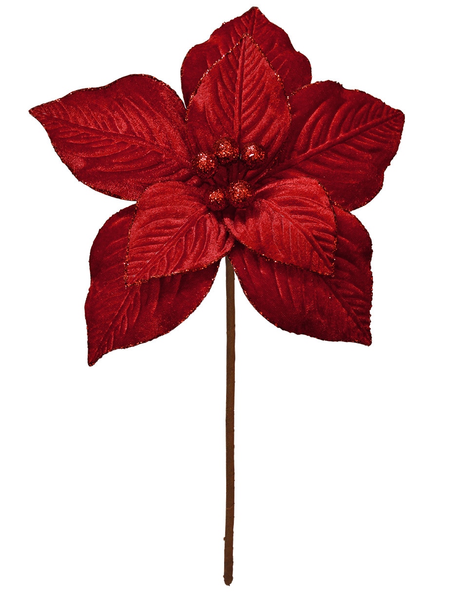Rojo 3