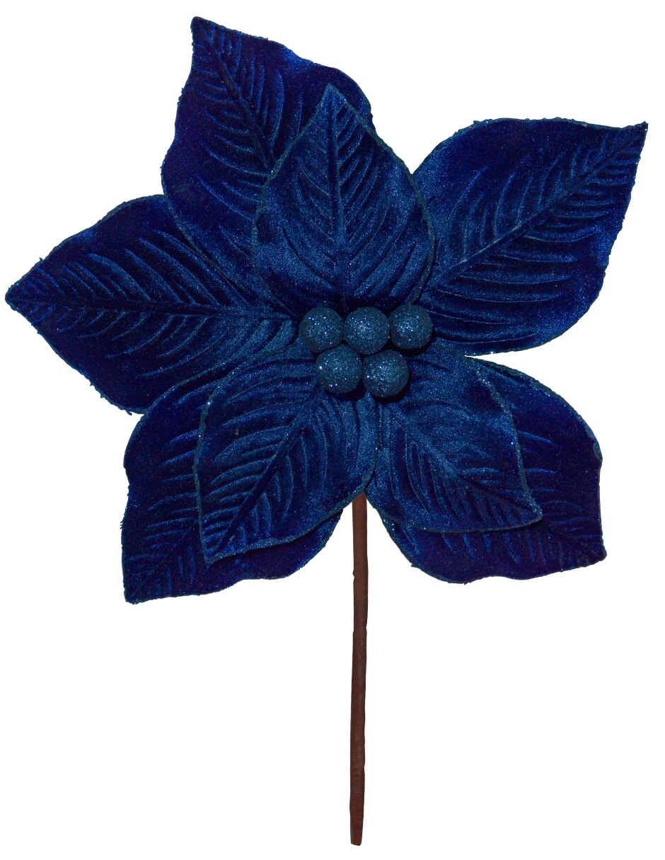 Flor de nochebuena Navidad Flor de nochebuena Navidad