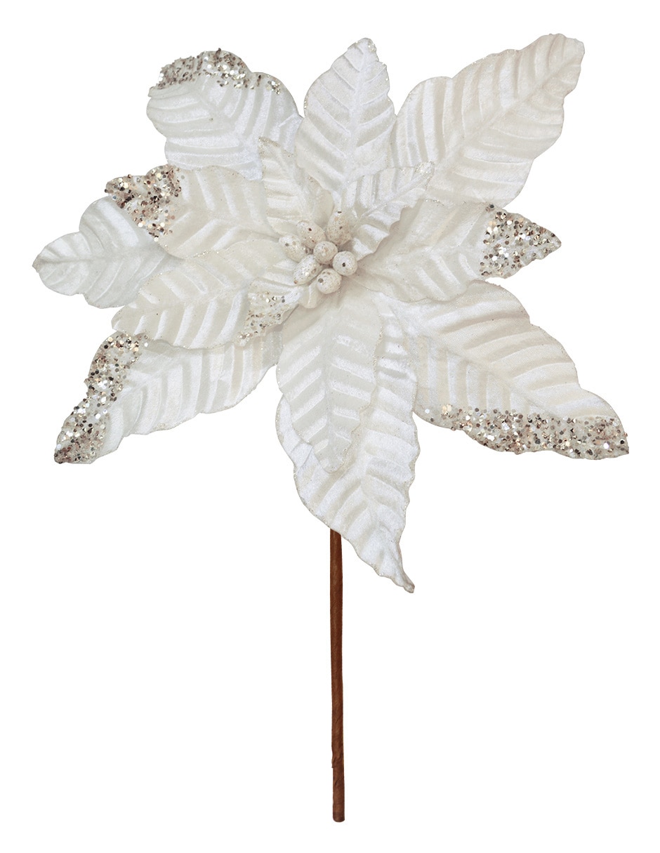 Flor de nochebuena Navidad