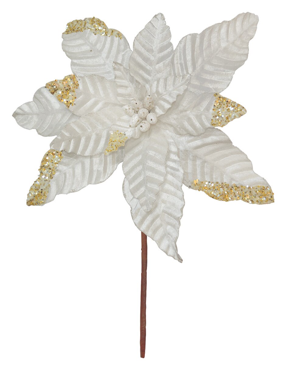 Blanco 3