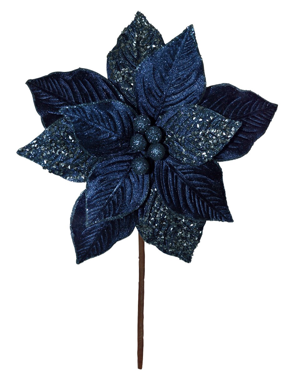 Flor de nochebuena Navidad