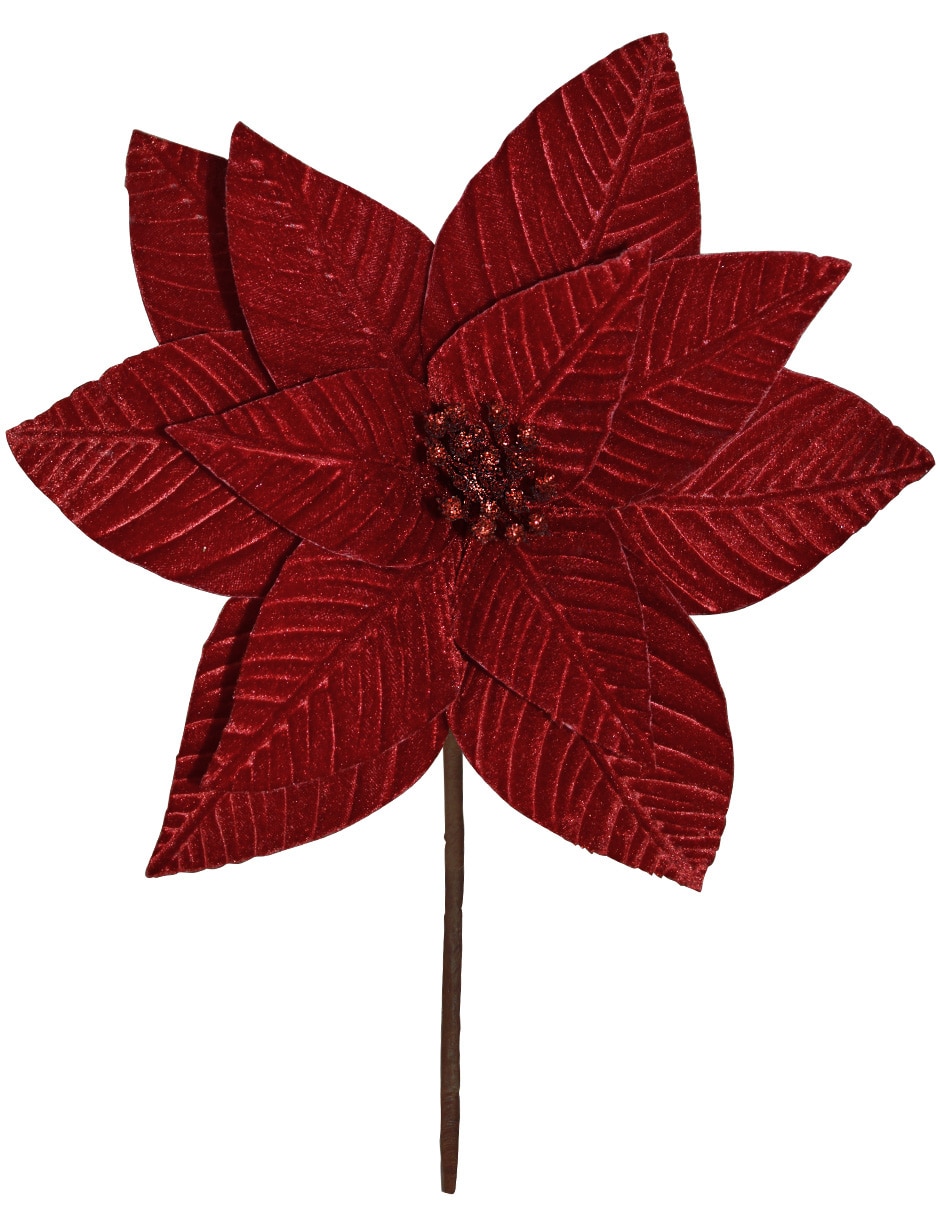 Flor de nochebuena Navidad