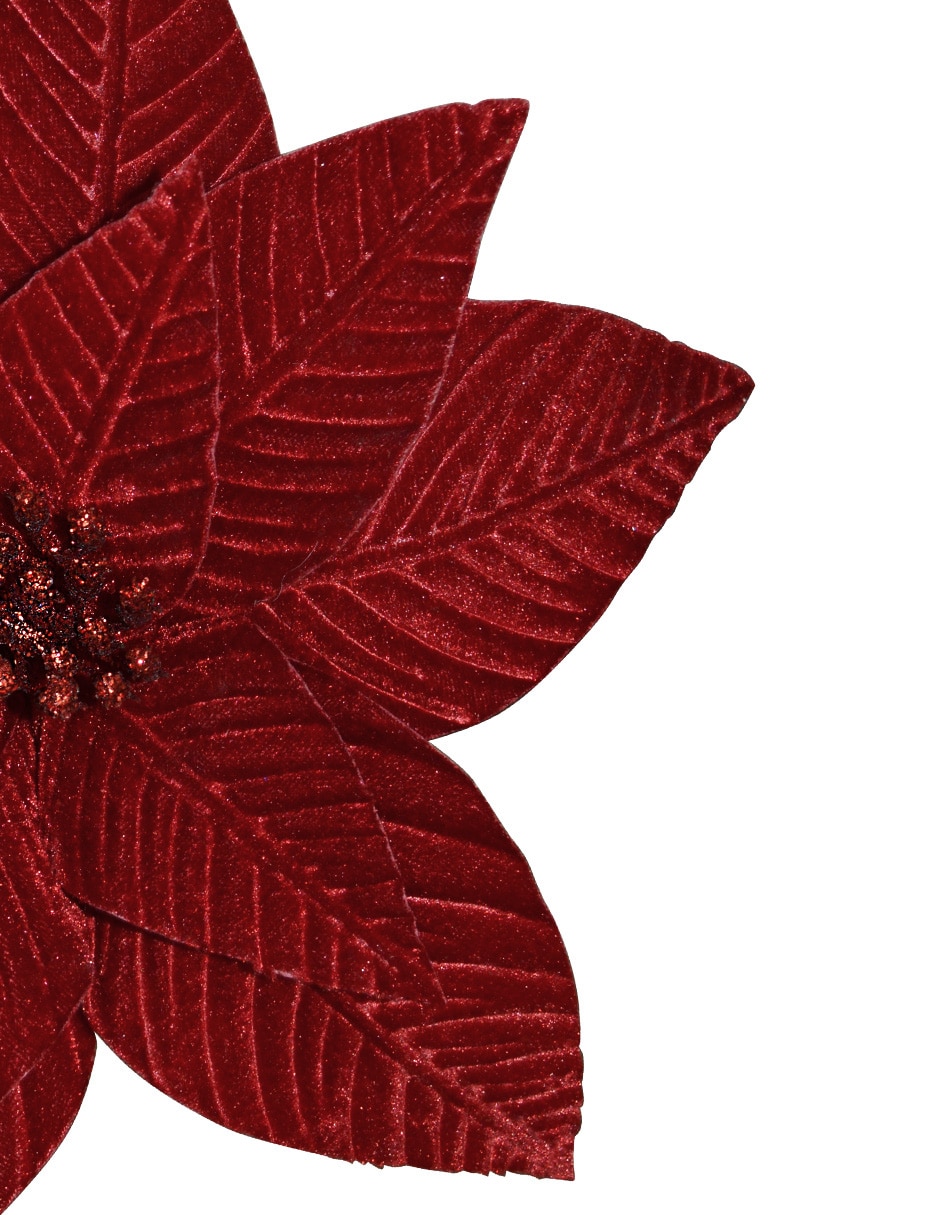 Flor de nochebuena Navidad 3