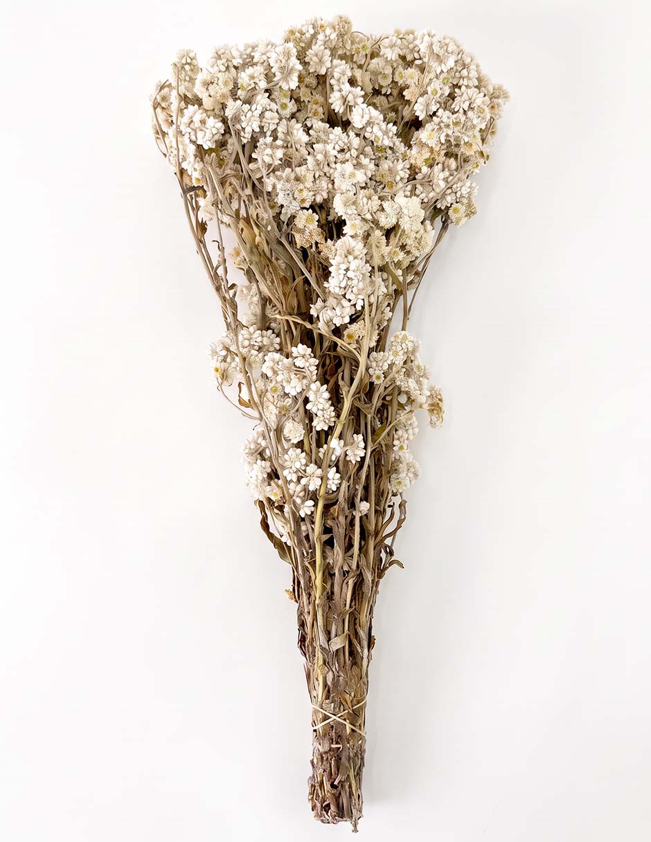 Ramo de artiflora