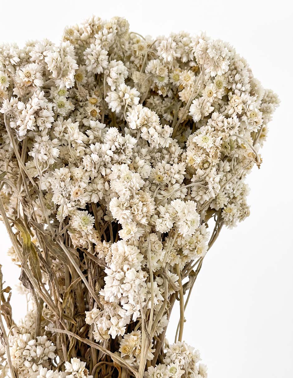 Ramo de artiflora 3