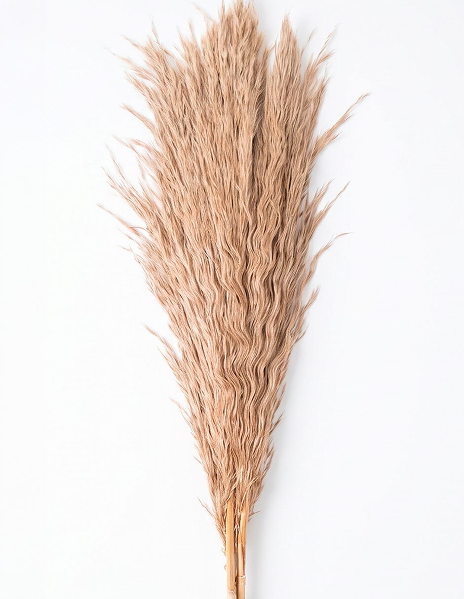 Galvia decorativa 2