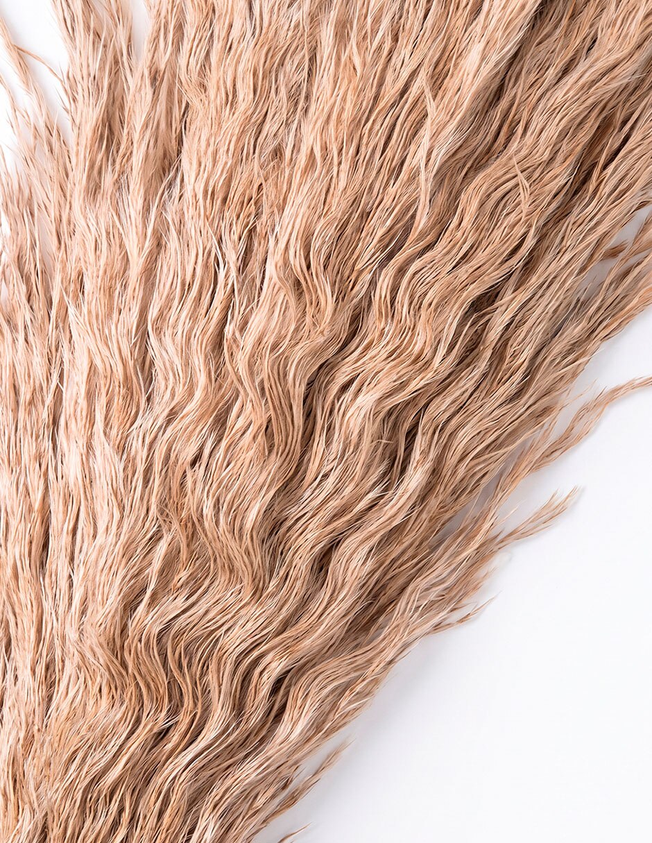 Galvia decorativa 3