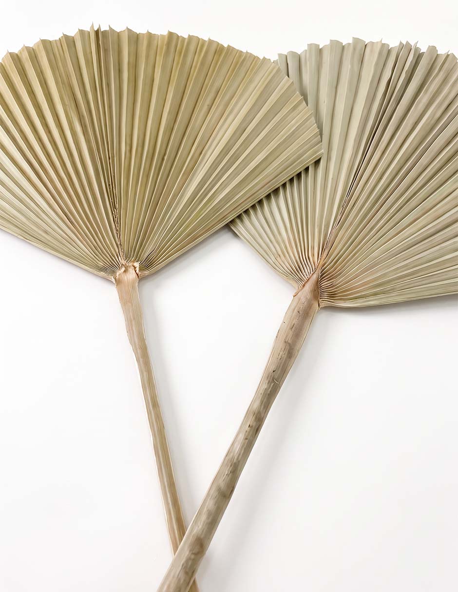 Set vara decorativa Tapia 3