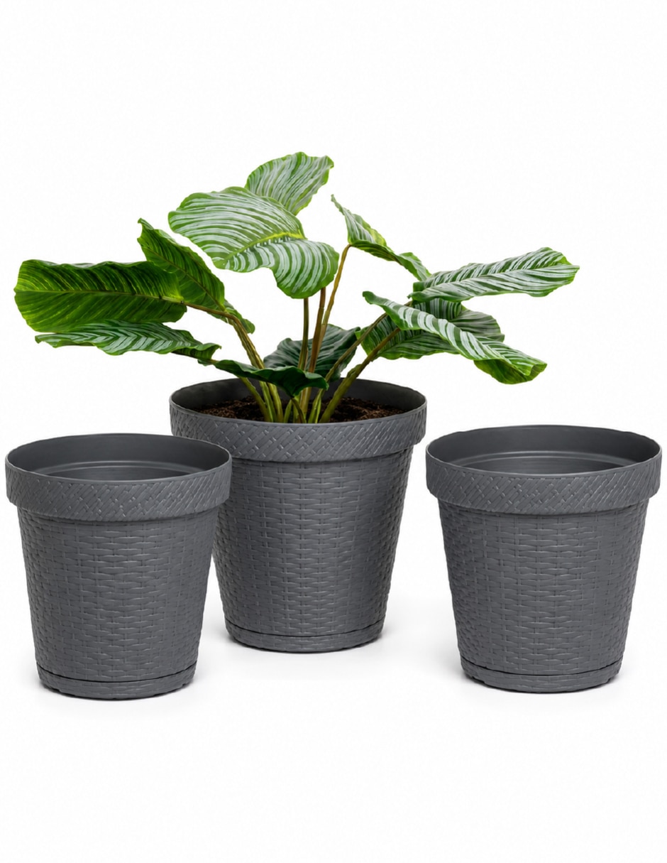 Set maceta de plástico con sí 4