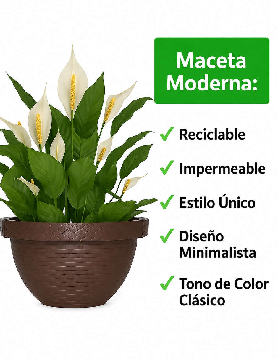 Set maceta de plástico con sistema auntomático de riego 3