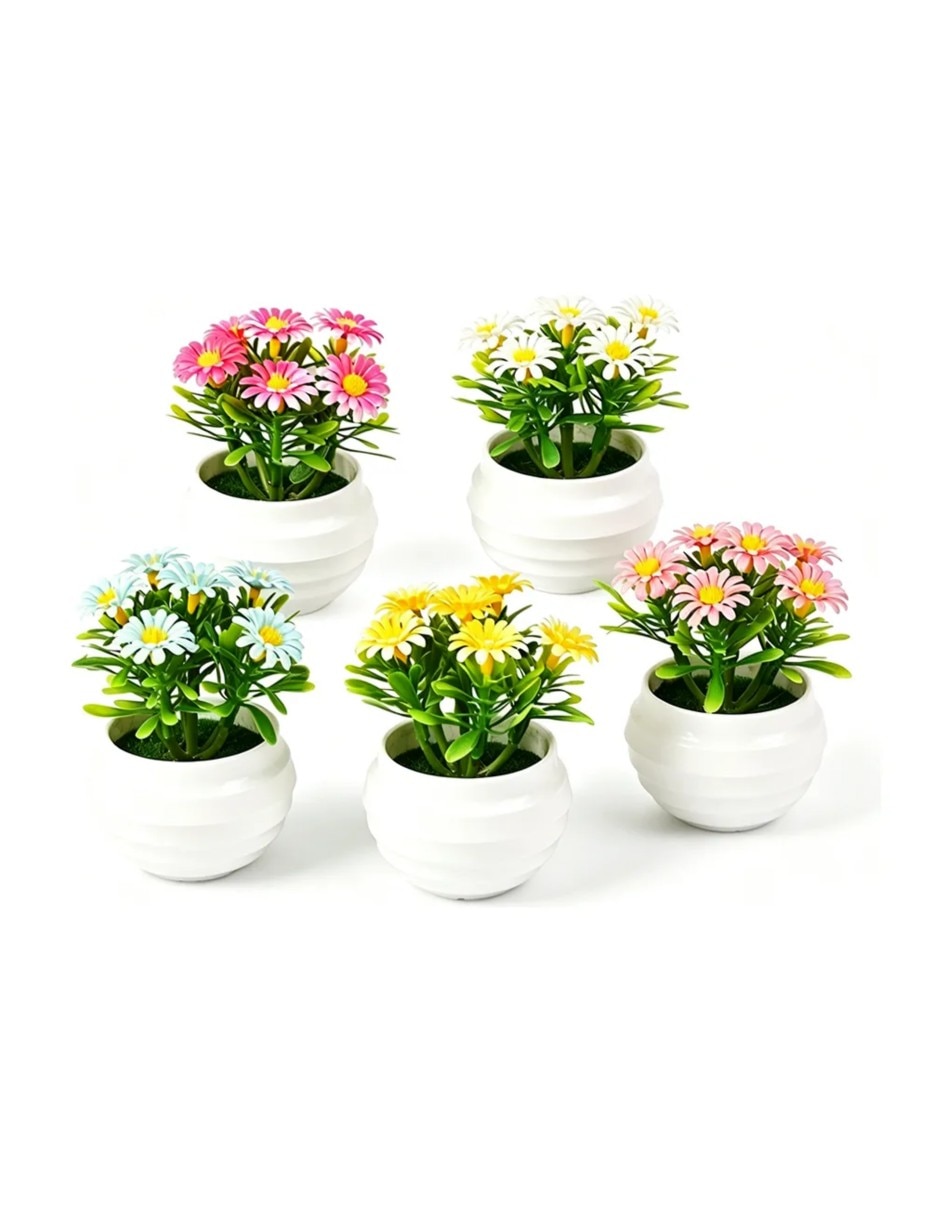 Maranta Artificial