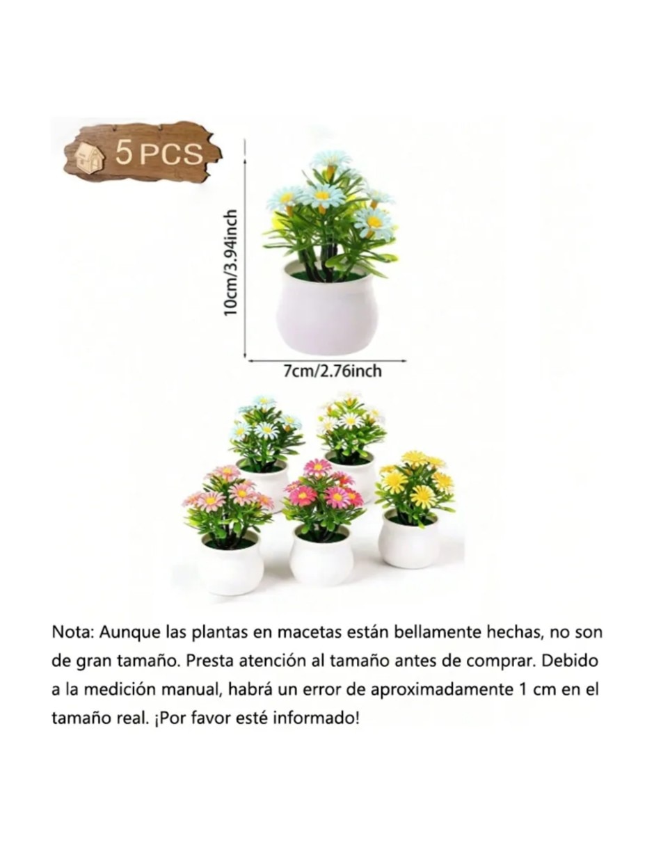 Maranta Artificial 4